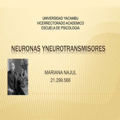 Neuronas y neurotransmisores
