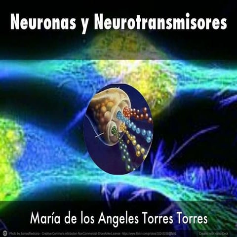 Neuronas y Neurotransmisores