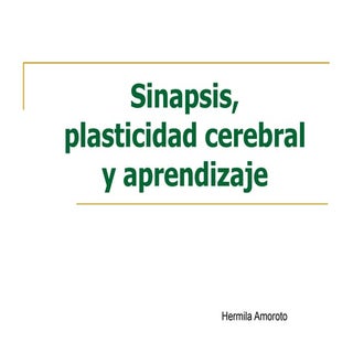 Sinapsis, plasticidad cerebral y ap...