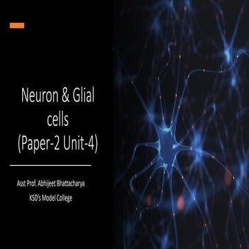 Neuron & Glial cells