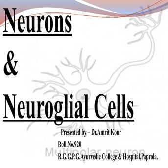 NERVOUS SYSTEM - Neuron & Neuroglial cells - STRUCTURE OF NEURON AND TYPES OF...