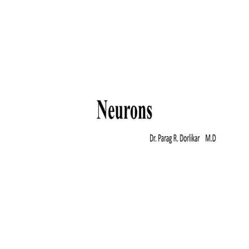 Neurons