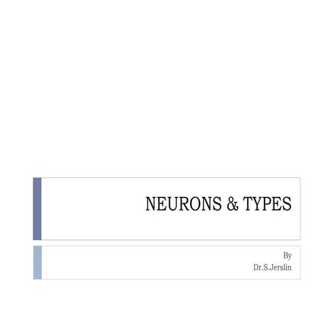 Neurons -Types.pptx