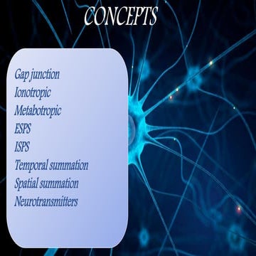 Synaptic integration, Types of synapses, EPSP and IPSP | PPTX