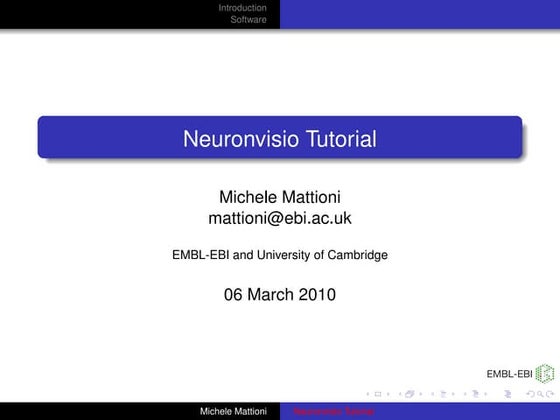 Neuronvisio Intro
