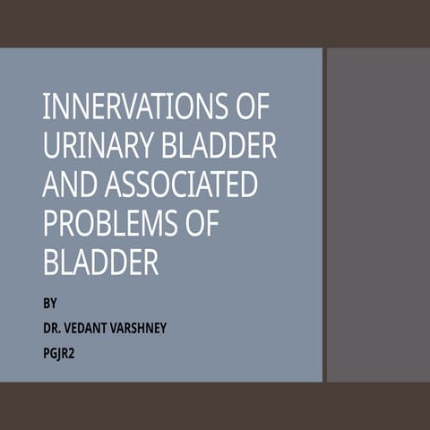 Nerve suply of bladder and physiology 2 | PPTX