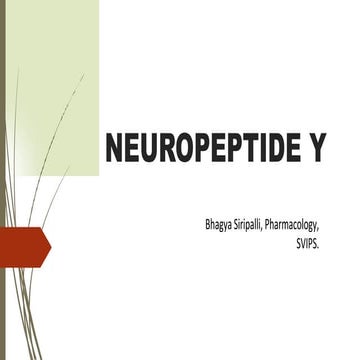 Neuropeptide y | PPT