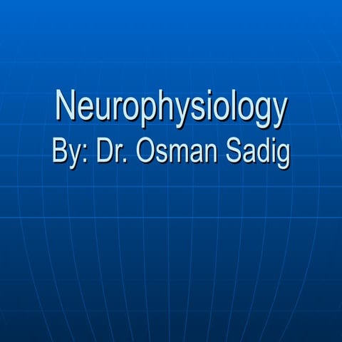 Neurophysiology