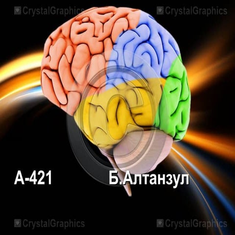 Neurophysiology  мэдрэлийн физиологи