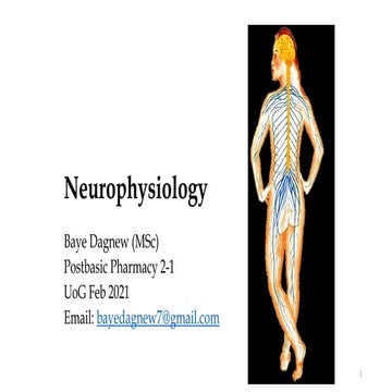 Neurophysiology for pharmacy_2-1