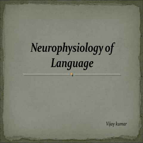 Neurophysiology of language