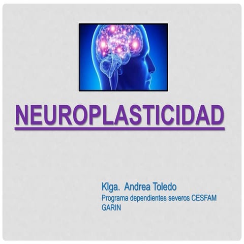 NEUROPLASTICIDAD