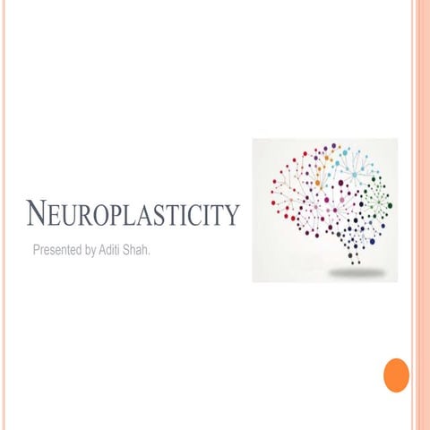 Neuroplasticity