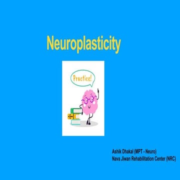 Importance of Neuroplasticity in Rehabilitation