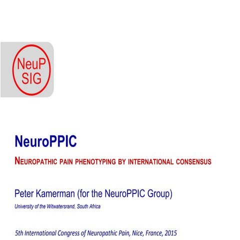 Neuropathic pain phenotyping by international consensus (NeuroPPIC) (2015)