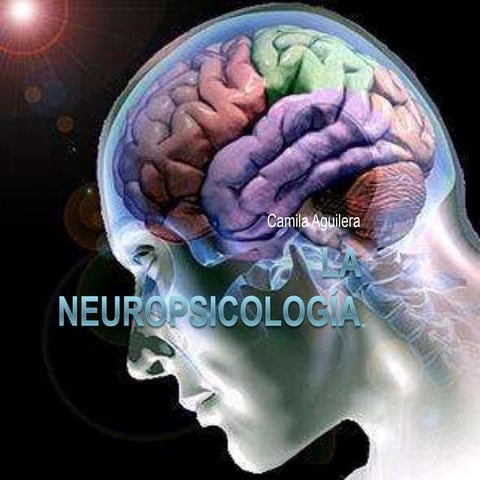 Neuropsicología