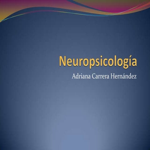 Neuropsicologia