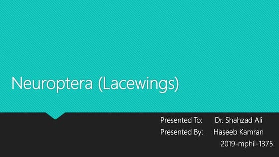 Insect Wing Venation, Wing coupling apparatus: its structure, function ...