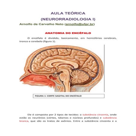 Neurorradiologia