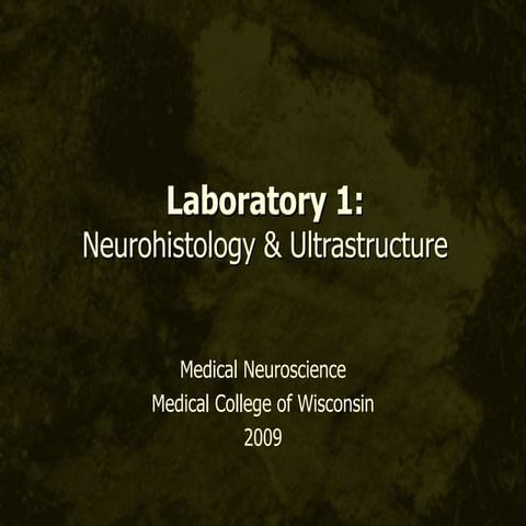Neuroscience   lab 1