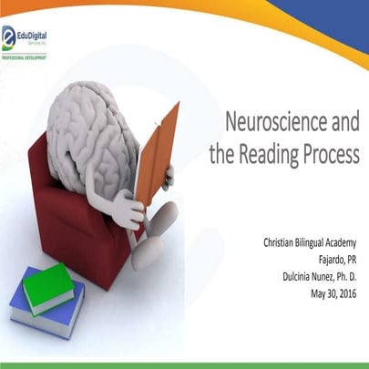 EDUC 551 Neuroscience and the reading process | PPTX