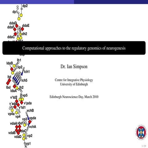 Computational approaches to the regulatory genomics of neurogenesis