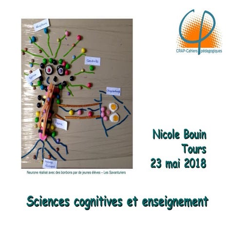 Canope 37 - Sciences cognitives et enseignement : les neurosciences au ...