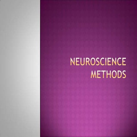 Neuroscience Methods
