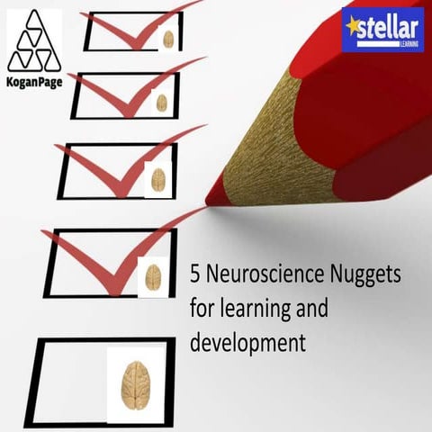 Neuroscience nuggets for Learning and Development