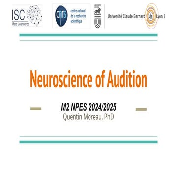 Neuroscience of Audition - Master Level Class