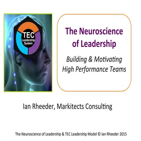Neuroscience of Leadership ian rheeder