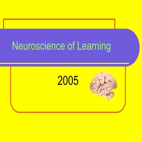 Neuroscience of Learning.pptkkkkkkkkkkkkkkkkkkkkkk
