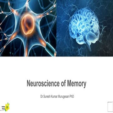 Neuroscience of Memory.pptx