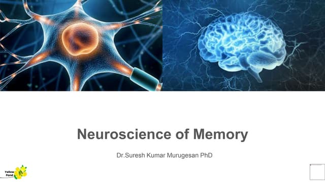 Neuroscience of Memory.pptx