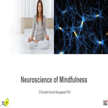 Neuroscience of mindfulness