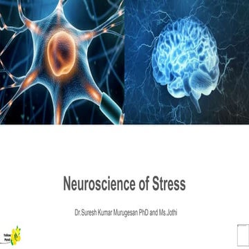 Neuroscience of Stress.pptx