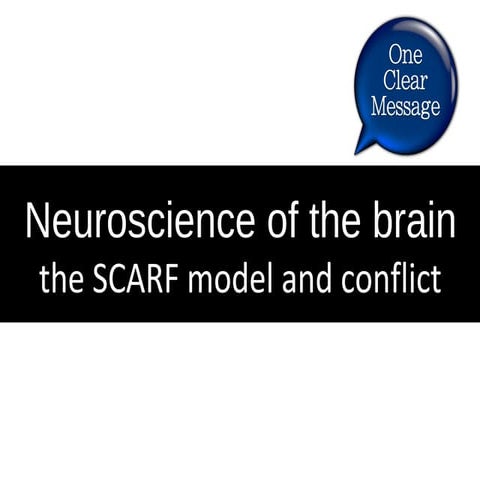 The neuroscience of the brain and conflict