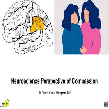 Neuroscience perspective of compassion