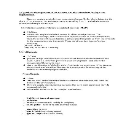 Neuroscience sofia ultimo2