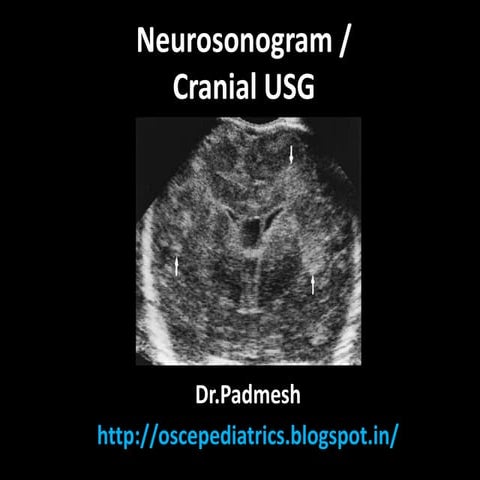 Neurosonogram.. Dr.Padmesh