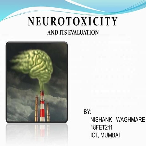 Neurotoxicity and its evaluation