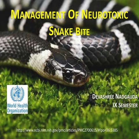 Management of neurotoxic snake bite