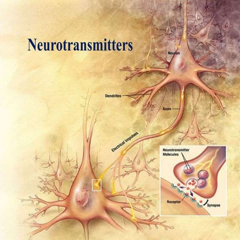 Neurotranmitter