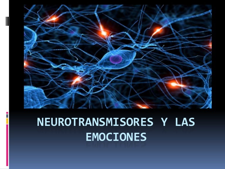Neurotransmisores Y Las Emociones