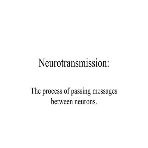 Neurotransmission mechanism and functions
