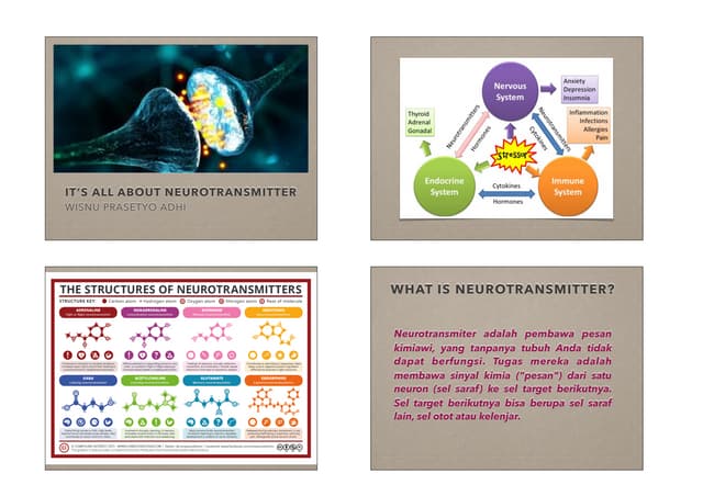 Neurotransmitter Pdf Neurotransmitter Pdf