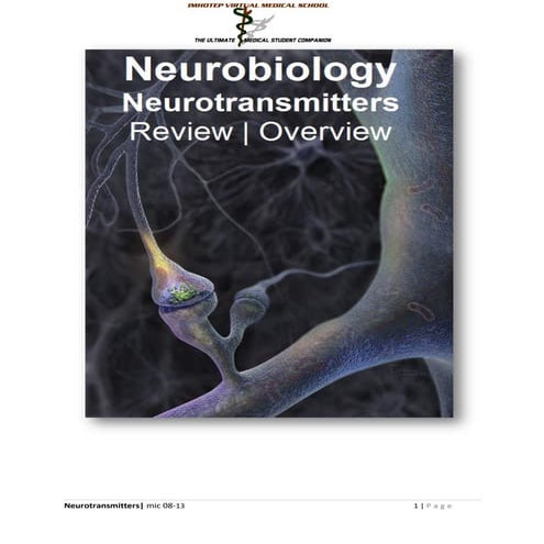 IVMS-Neurotransmitters