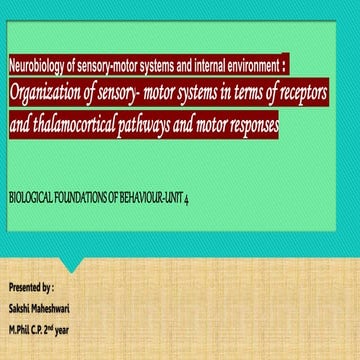 sensory and motor systems | PPTX