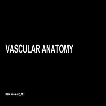 Neurovascular Anatomy.pptx