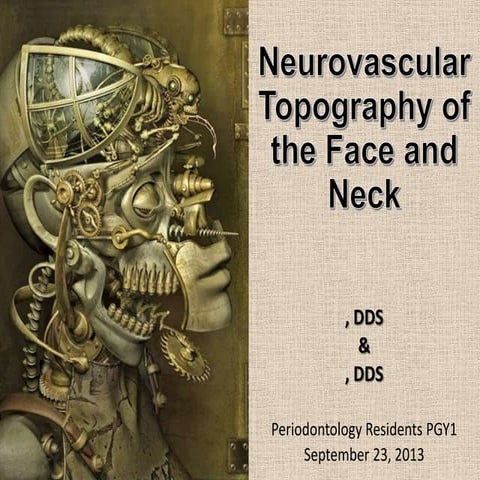 Neurovascular topography of the face and neck